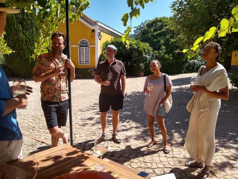 Prova Vinhos Mafra Quinta Santana