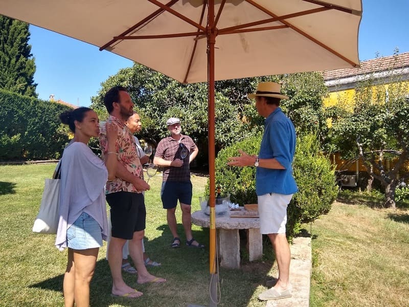 Quinta de Santana Vinhas Mafra