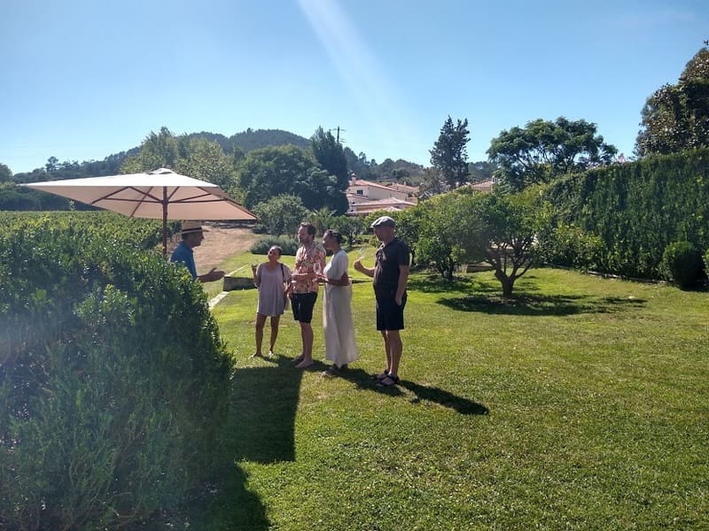 Quinta Santana Mafra Vinha