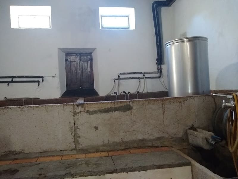 Lagares Vinho