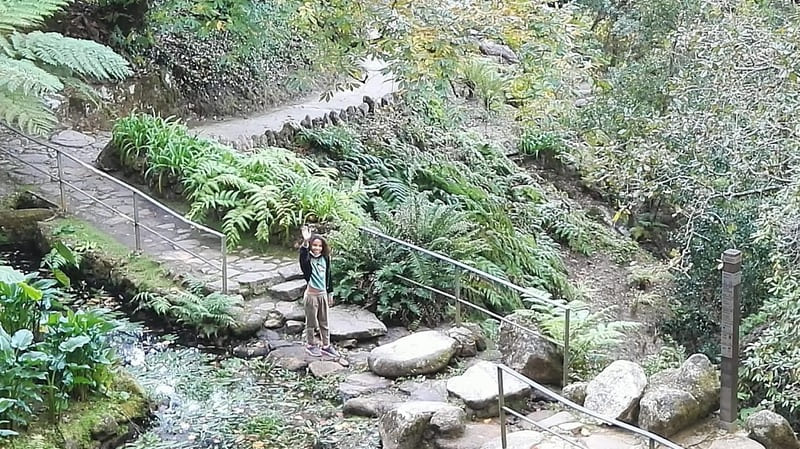 Lake Hippocrene  Palace of Monserrate Sintra