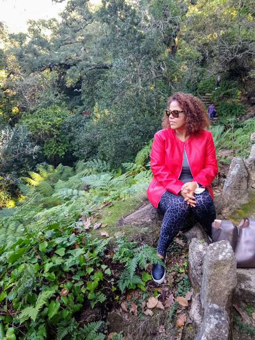 Valley of Ferns Palace of Monserrate Sintra